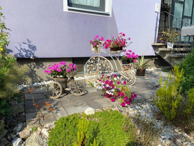 Appartamento Haus Lila Welle Nordhalben Esterno foto